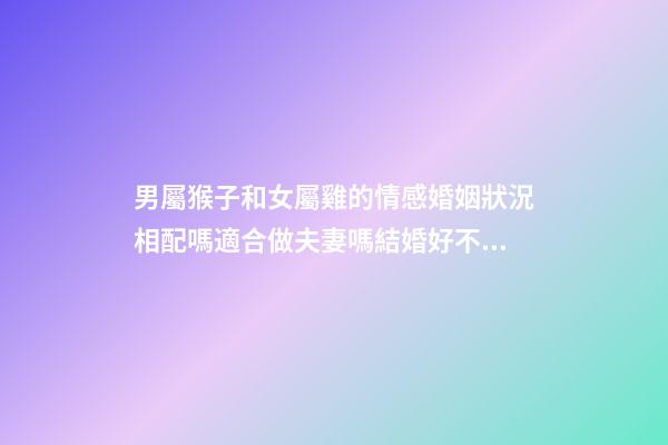 男屬猴子和女屬雞的情感婚姻狀況相配嗎適合做夫妻嗎結婚好不好 男屬雞和女屬猴的性感婚姻狀況好嗎合不合